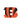 Cincinnati Bengals